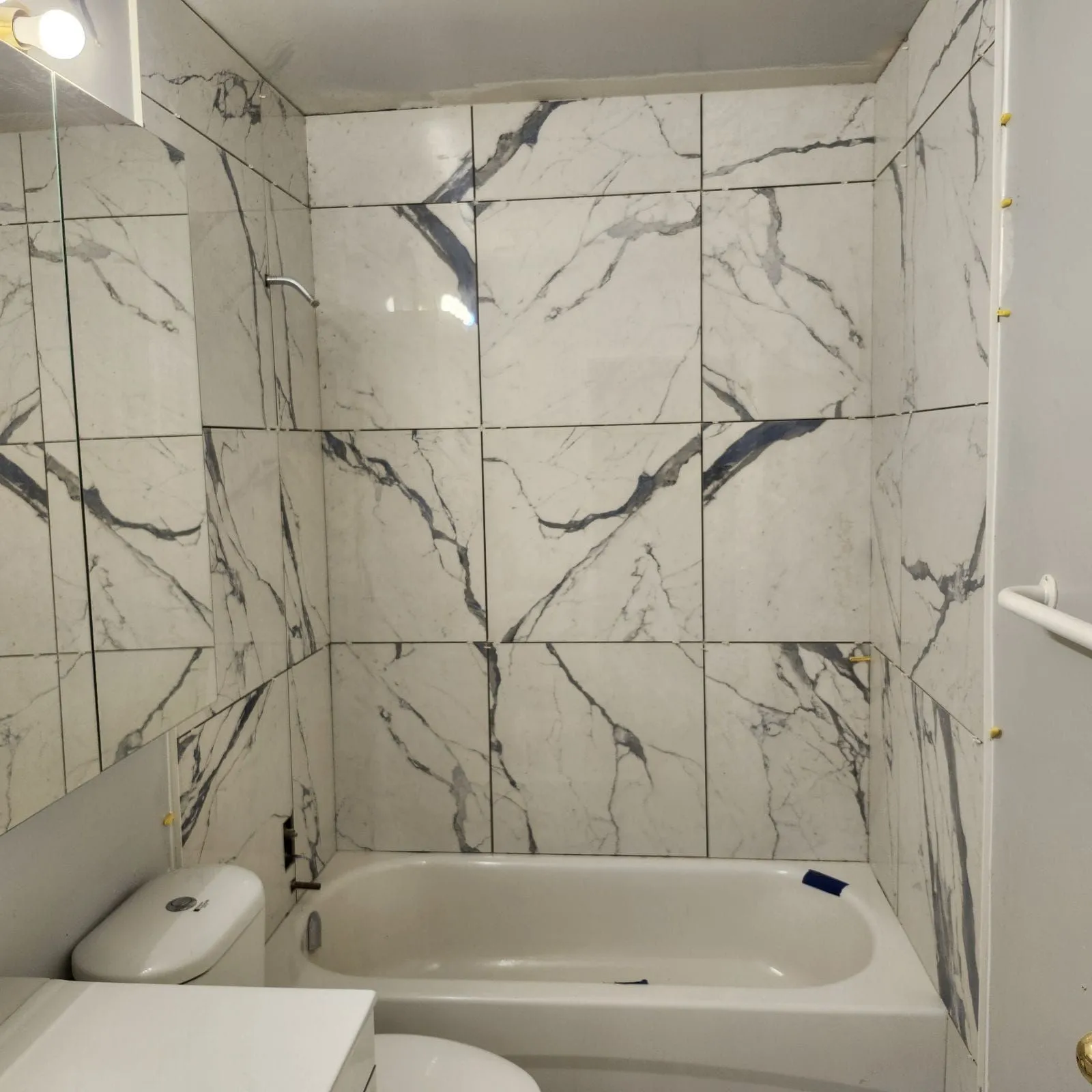 Suite Washroom Renovation — 650 Briar Hill Ave