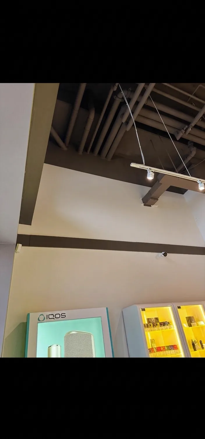 Ceiling detail at 180 Smoke: painted exposed services above display casework