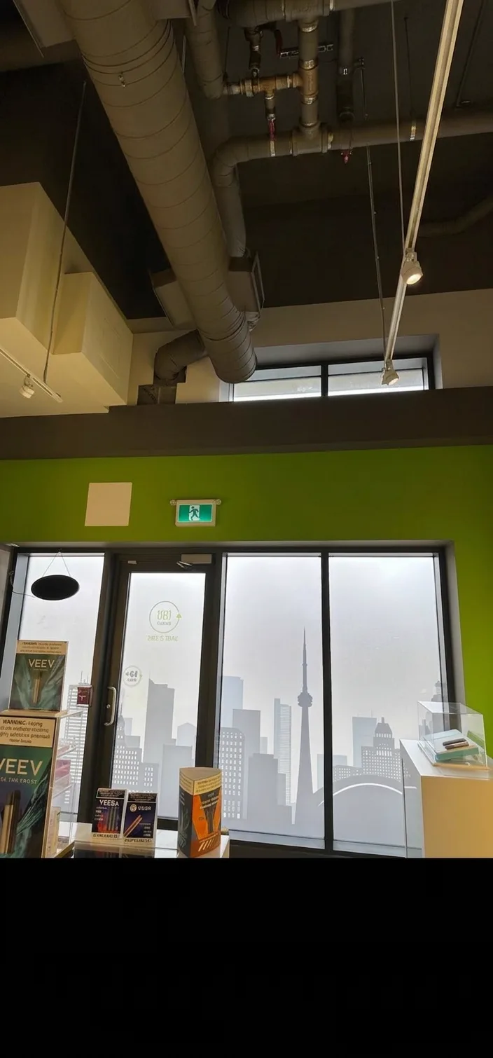 180 Smoke green feature wall and skyline-film storefront glazing